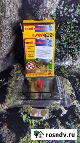 Борьба с улитками в аквариуме. Хищные улитки Воронеж - изображение 1