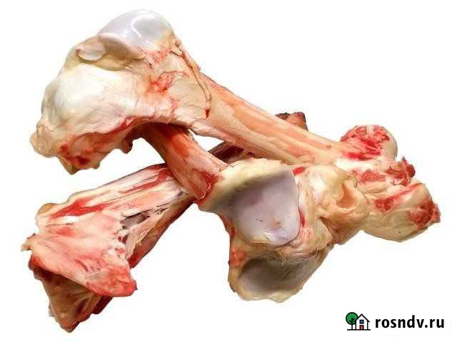 Говяжие Суповые кости Октябрьский - изображение 1