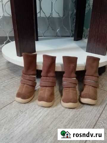 Зимние ботинки для собак Кемерово - изображение 1