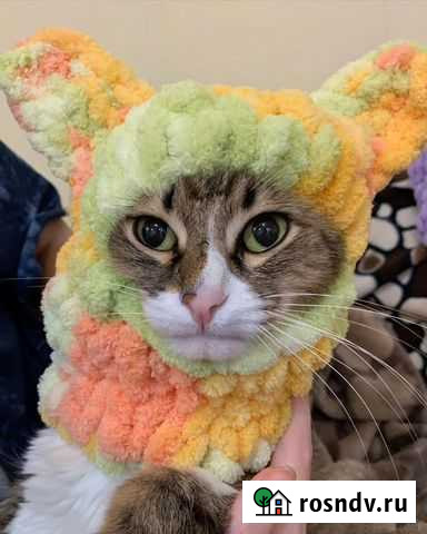 Балаклава Волгоград - изображение 1