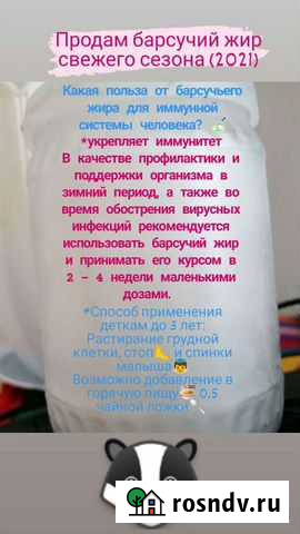 Барсучий жир от охотника Бийск - изображение 1