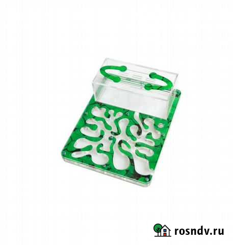 Муравьиная ферма Чита - изображение 1