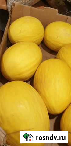 Дыни медовые цена за 7шт 19кг ящик вкусные Санкт-Петербург - изображение 1