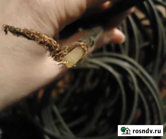 Кабели многометровые,медная жила медная оплетка Калининград - изображение 1