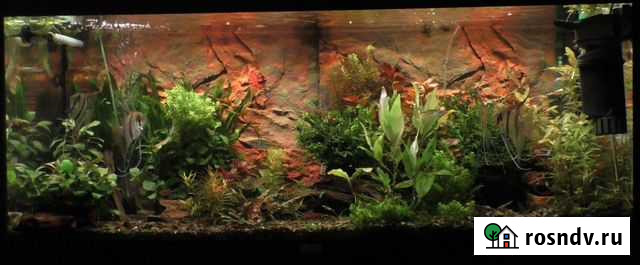 Растения для аквариума, макроэлементы Дедовск - изображение 1