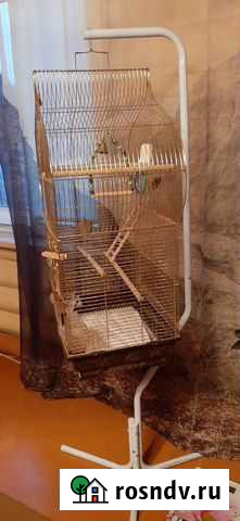 Клетка Тольятти - изображение 1