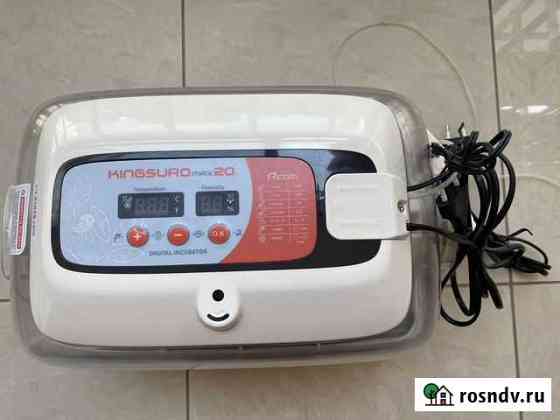 Инкубатор Rcom King suro 20 MAX (Южная Корея) Красноярск