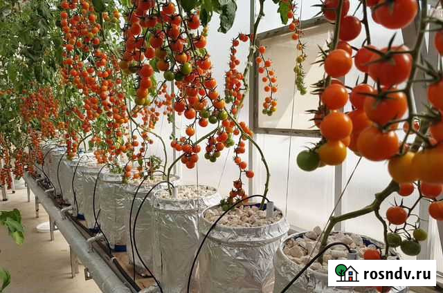 Оборудование для гидропоники. Аквариумное Воронеж - изображение 1