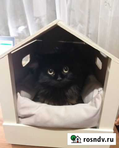 Будки для собаки и кошки Одинцово - изображение 1