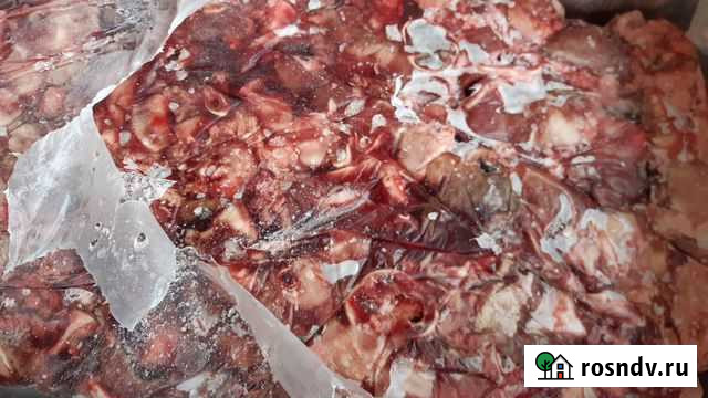 Мясо для собак Говядина Курск - изображение 1