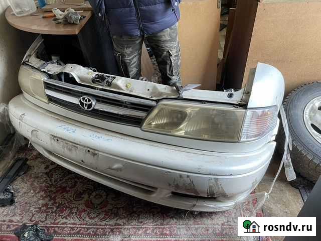 Ноускат Сургут - изображение 1