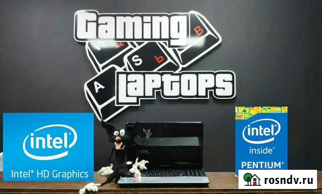 Ноутбук Packard Bell / Pentium Волгоград - изображение 1