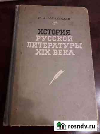 История Русской литературы 19 века первая половина Барнаул