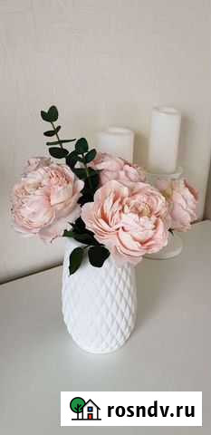 Интерьерные цветы Ярославль - изображение 1