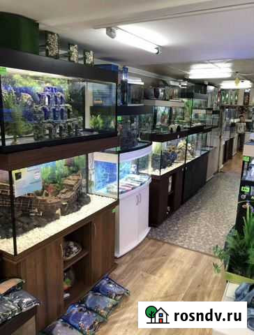 Аквариум Москва - изображение 1