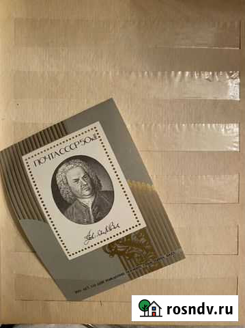300лет со дня рождения Баха Воронеж - изображение 1