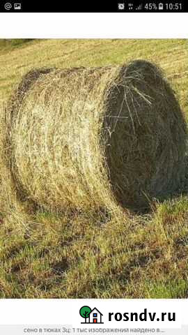 Продам сено в тюках Алтайское - изображение 1