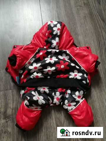 Комбинезон для собак мелких пород Владимир - изображение 1