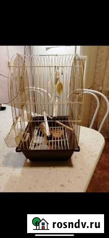 Клетка Таштагол - изображение 1