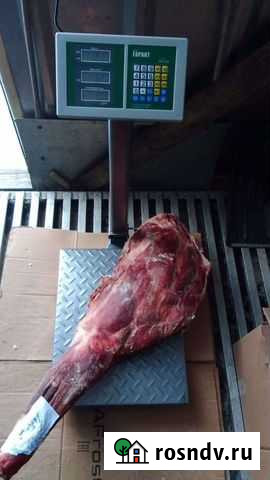 Мясо марала Новосибирск - изображение 1