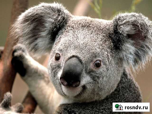 Садок 3 метра Москва - изображение 1