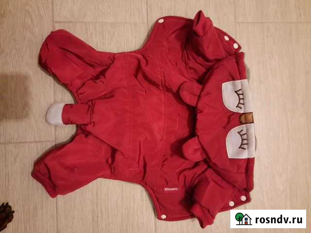 Комбинезон для собаки Серпухов - изображение 1