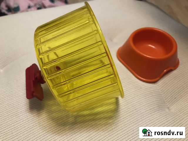 Колесо и кормушка для грызунов Альметьевск - изображение 1