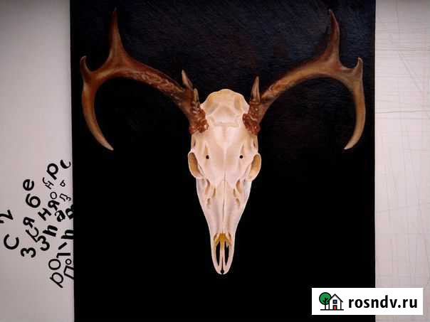 Картина Skull Уфа - изображение 1