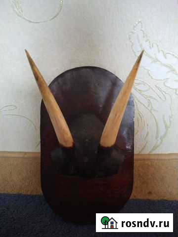 Рога Иваново - изображение 1