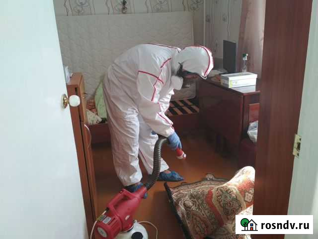 Дезинсекция, обработка от насекомых Рязань - изображение 1