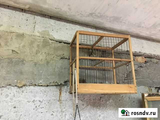 Клетка для птиц времен СССР Саратов - изображение 1