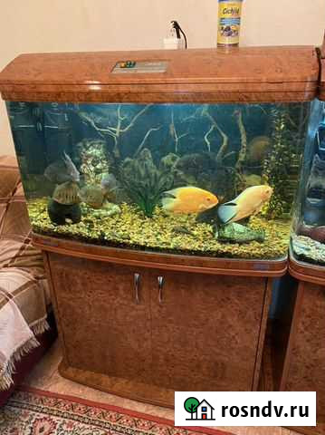 Аквариум jebo r390 390 Комсомольск-на-Амуре - изображение 1