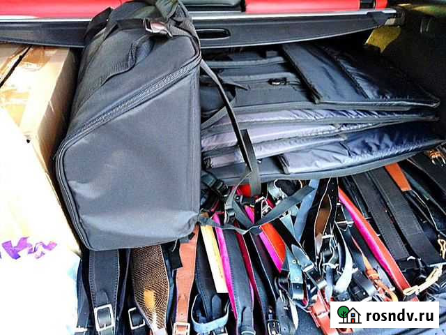 Ремни ученические, профессиональные (любой размер) Санкт-Петербург - изображение 1