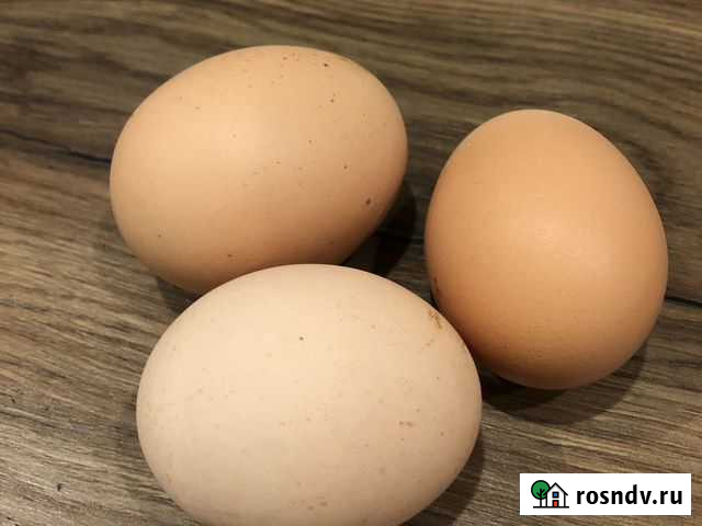 Яйцо куриное домашнее Кропоткин - изображение 1