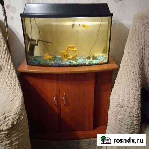 Аквариум, тумба, рыбки, домик, грунт, фильтр Пенза