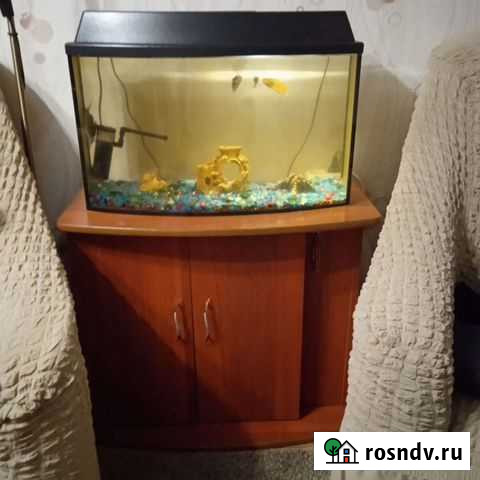 Аквариум, тумба, рыбки, домик, грунт, фильтр Пенза - изображение 1