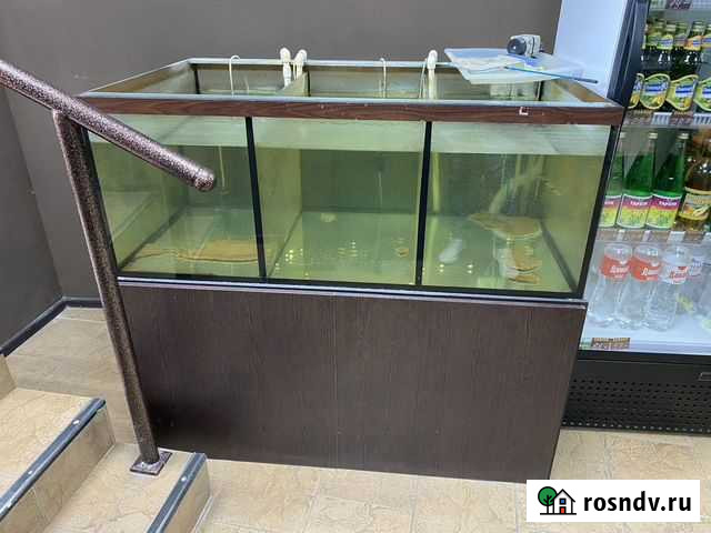 Террариум Ростов-на-Дону - изображение 1