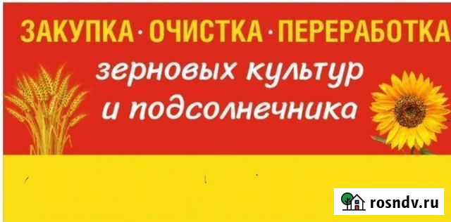 Очистка и переработка зерновых культур Мечетинская - изображение 1