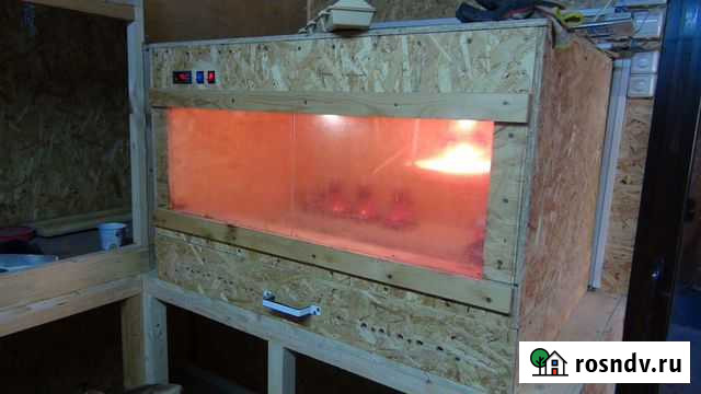 Брудер на 50 цыплят утепленный Пущино - изображение 1