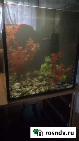 Аквариум Шахты - изображение 1