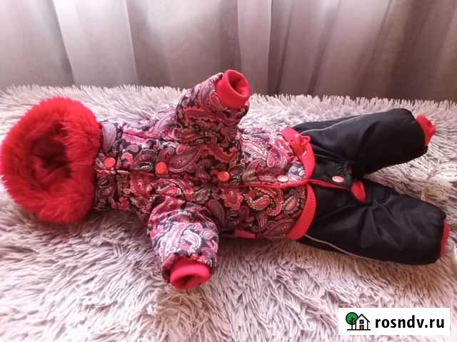 Одежда для маленьких собак Сортавала - изображение 1