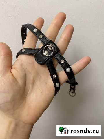 Ошейник шлейка для собак Санкт-Петербург - изображение 1