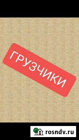 Грузчики Тейково - изображение 1