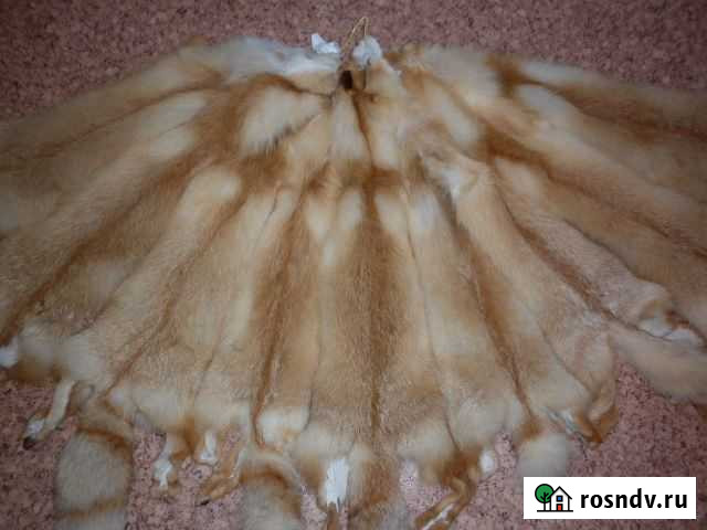 Шкуры рыжей лисы Казань - изображение 1