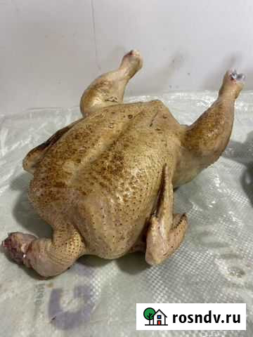 Мясо бройлера, утки,тушёнка домашняя Новосибирск - изображение 1