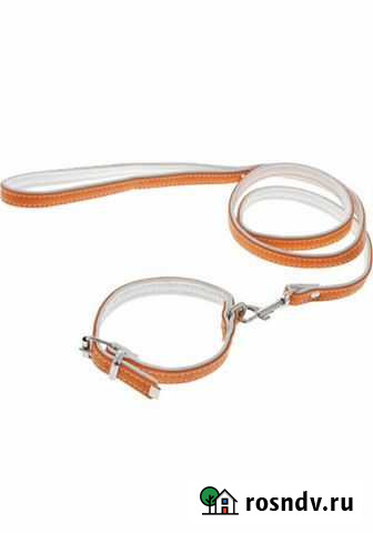 Шлейка, ошейник и поводок Екатеринбург - изображение 1