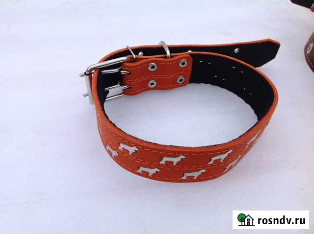 Ошейники для собак Казань - изображение 1
