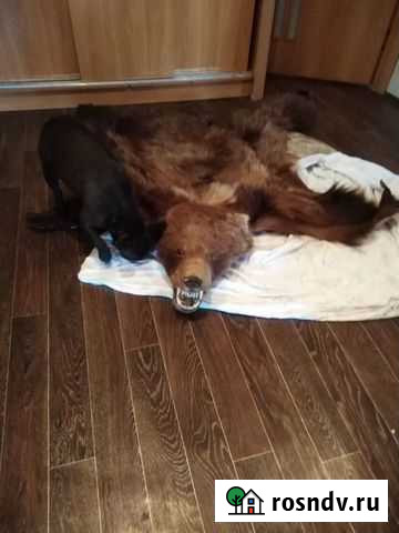 Имитация Заринск - изображение 1