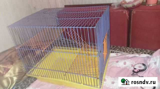 Клетка Москва - изображение 1