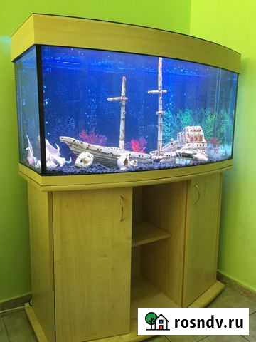 Аквариум Москва - изображение 1